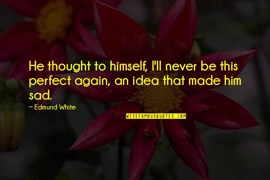 Sentiment Turns To Sediment Quotes By Edmund White: He thought to himself, I'll never be this