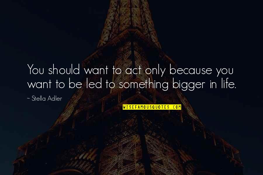 Sentimentalni Vyznam Quotes By Stella Adler: You should want to act only because you