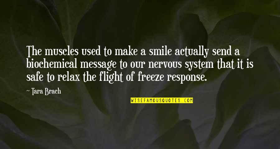 Sentire Quotes By Tara Brach: The muscles used to make a smile actually Sentire Quotes By Tara Brach: The muscles used to make a smile actually