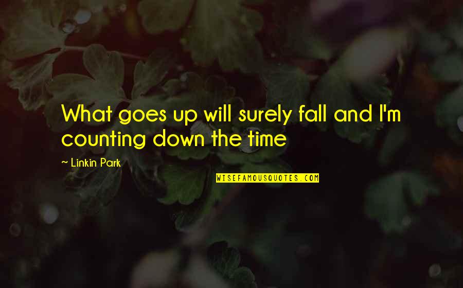 Seo Service Quotes By Linkin Park: What goes up will surely fall and I'm