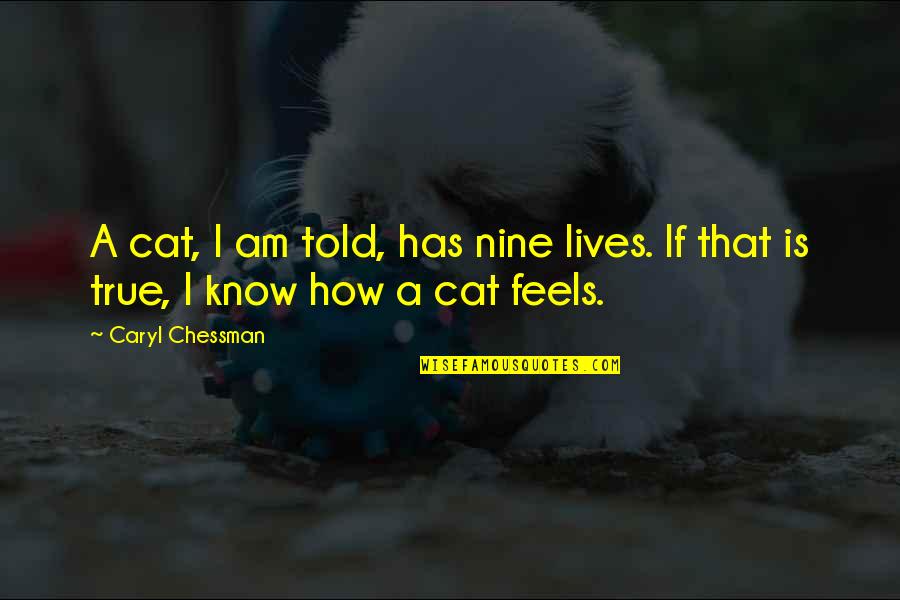 Seoul Korea Quotes By Caryl Chessman: A cat, I am told, has nine lives.