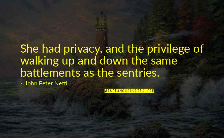 Sepakat In English Quotes By John Peter Nettl: She had privacy, and the privilege of walking