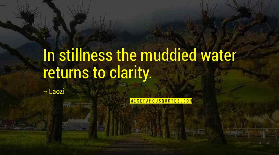 Separately Friends Quotes By Laozi: In stillness the muddied water returns to clarity.