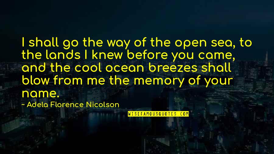 Separation From Work Quotes By Adela Florence Nicolson: I shall go the way of the open