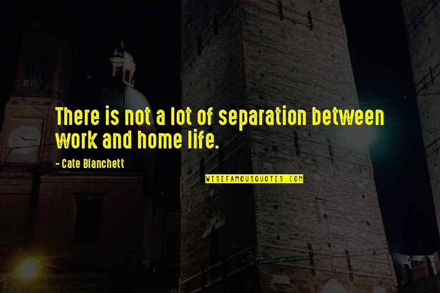 Separation From Work Quotes By Cate Blanchett: There is not a lot of separation between