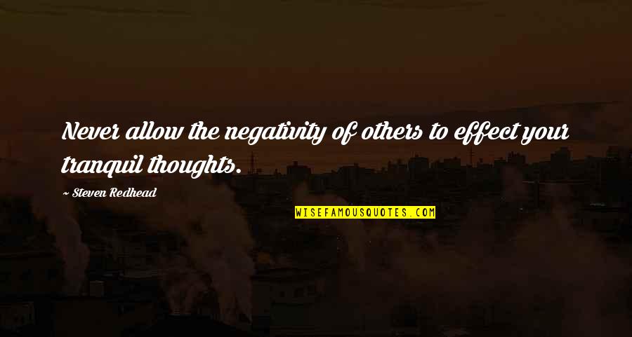 Separazione Dei Quotes By Steven Redhead: Never allow the negativity of others to effect