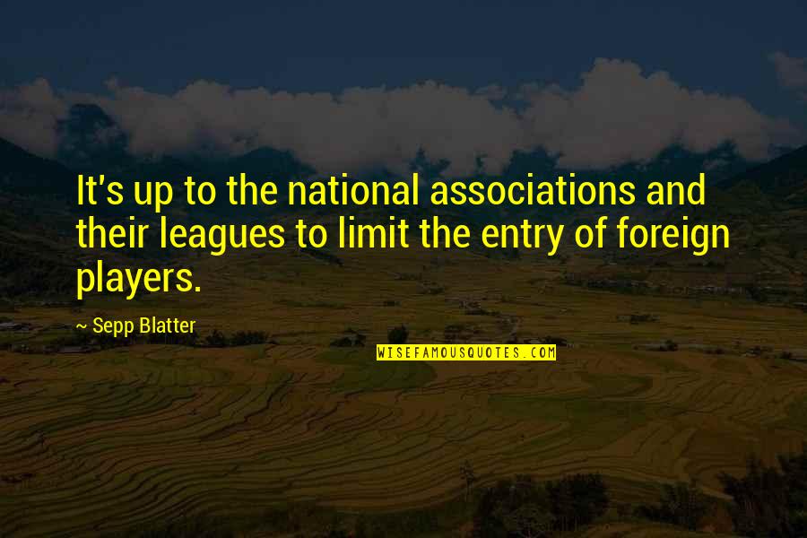 Sepp Quotes By Sepp Blatter: It's up to the national associations and their
