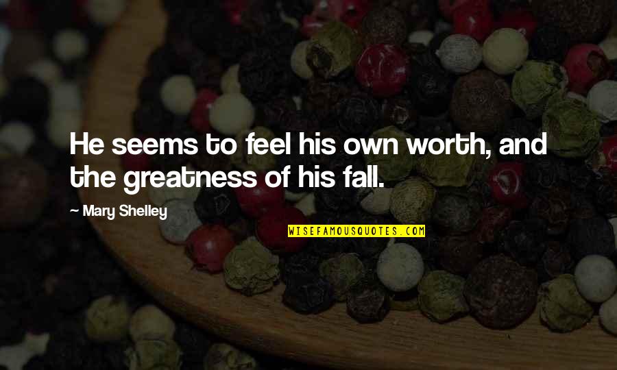 Septentrionalis Quotes By Mary Shelley: He seems to feel his own worth, and