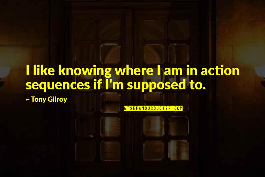 Sequences Quotes By Tony Gilroy: I like knowing where I am in action