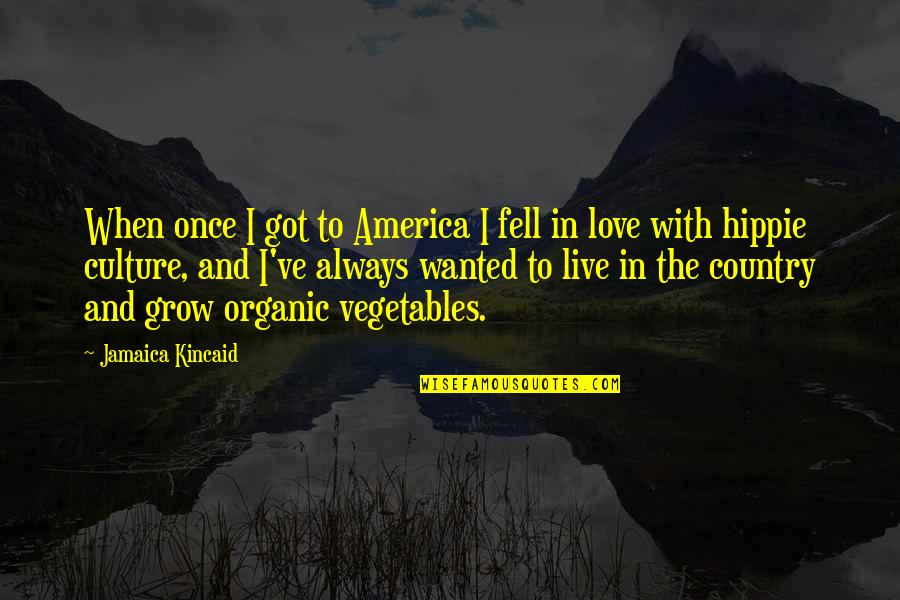 Ser Diferente Quote Quotes By Jamaica Kincaid: When once I got to America I fell Ser Diferente Quote Quotes By Jamaica Kincaid: When once I got to America I fell