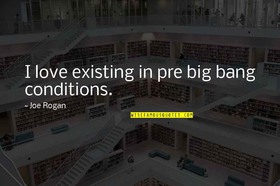 Ser Oswell Whent Quotes By Joe Rogan: I love existing in pre big bang conditions.