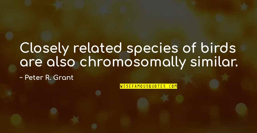 Seralago Maingate Quotes By Peter R. Grant: Closely related species of birds are also chromosomally