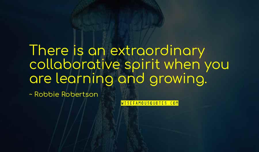 Seratame Quotes By Robbie Robertson: There is an extraordinary collaborative spirit when you