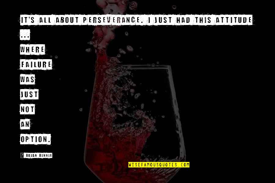 Seremet Helicopter Quotes By Brian Binnie: It's all about perseverance. I just had this Seremet Helicopter Quotes By Brian Binnie: It's all about perseverance. I just had this