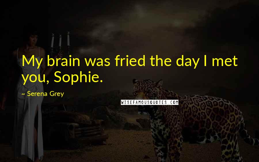 Serena Grey quotes: My brain was fried the day I met you, Sophie.