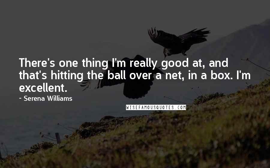 Serena Williams quotes: There's one thing I'm really good at, and that's hitting the ball over a net, in a box. I'm excellent.