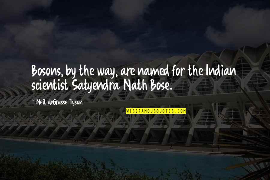 Serene Beach Quotes By Neil DeGrasse Tyson: Bosons, by the way, are named for the