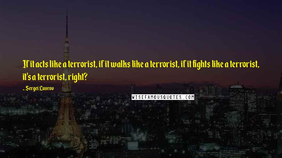 Sergei Lavrov quotes: If it acts like a terrorist, if it walks like a terrorist, if it fights like a terrorist, it's a terrorist, right?