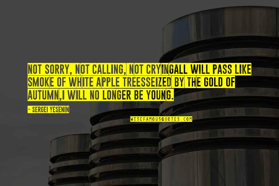 Sergei Yesenin Quotes By Sergei Yesenin: Not sorry, not calling, not cryingAll will pass