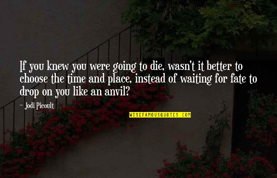 Sergej Cetkovic Quotes By Jodi Picoult: If you knew you were going to die,