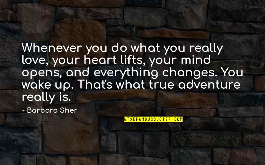 Sergi Constance Motivation Quotes By Barbara Sher: Whenever you do what you really love, your
