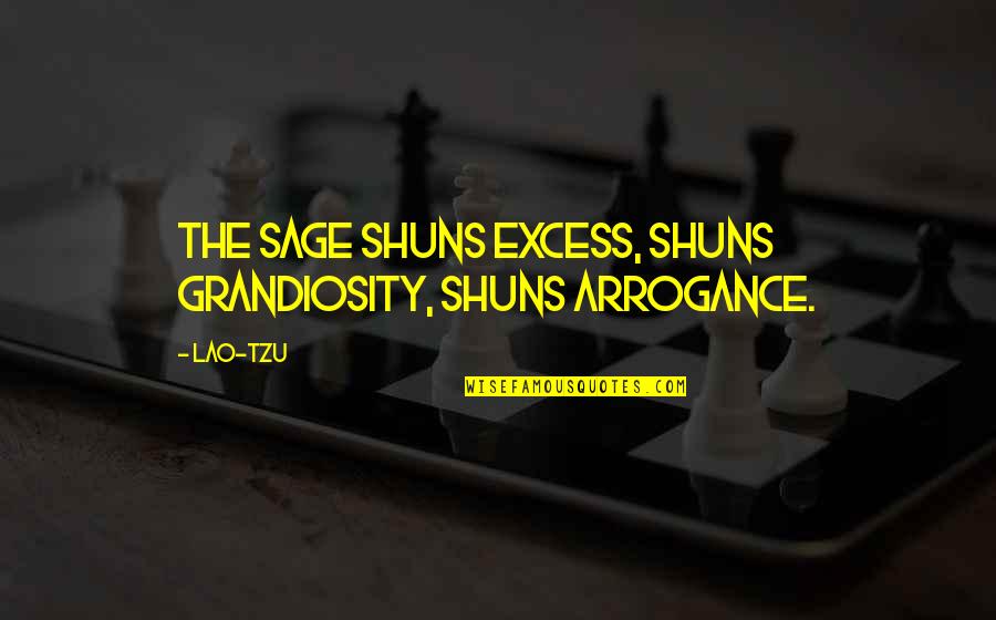 Sergiorazta Funny Quotes By Lao-Tzu: The sage shuns excess, shuns grandiosity, shuns arrogance.