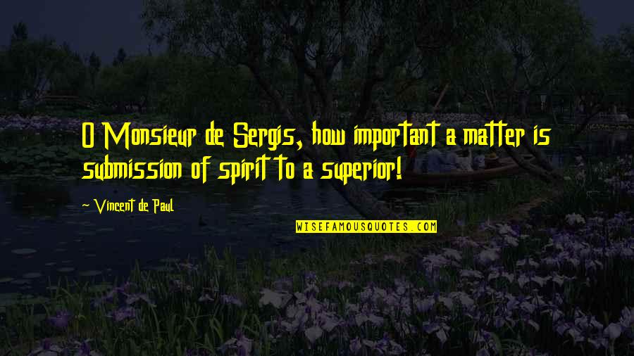 Sergis Quotes By Vincent De Paul: O Monsieur de Sergis, how important a matter
