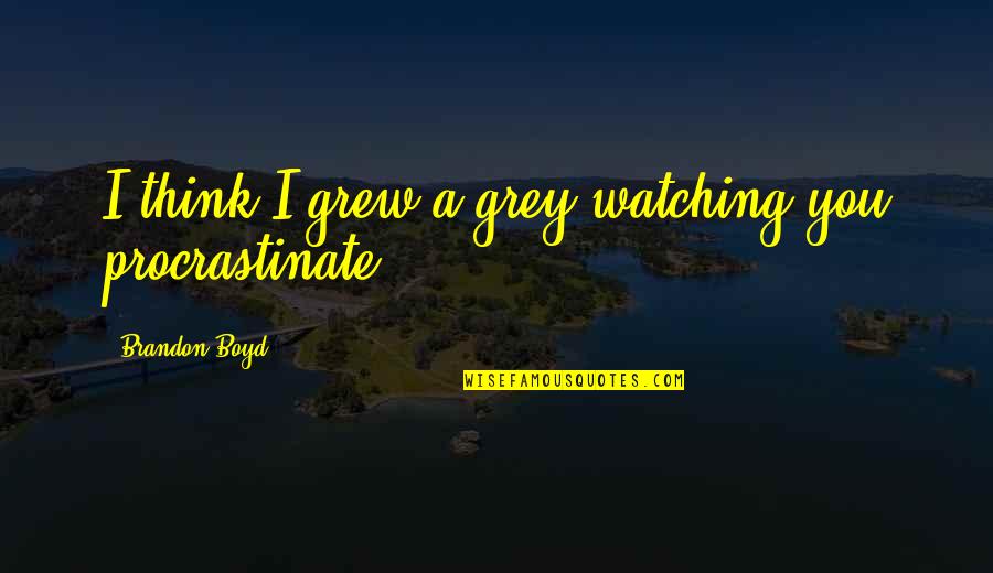Serhani Tonton Quotes By Brandon Boyd: I think I grew a grey watching you Serhani Tonton Quotes By Brandon Boyd: I think I grew a grey watching you