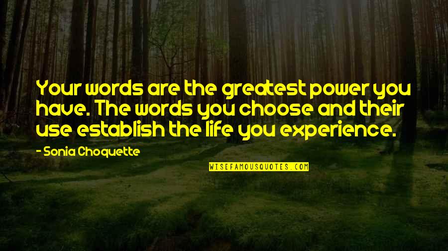 Seriah From Heartland Quotes By Sonia Choquette: Your words are the greatest power you have.