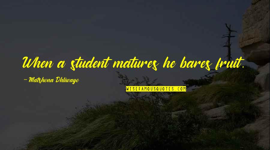 Serialized Television Quotes By Matshona Dhliwayo: When a student matures he bares fruit. Serialized Television Quotes By Matshona Dhliwayo: When a student matures he bares fruit.