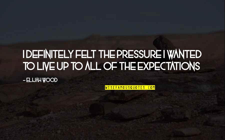 Series Of Unfortunate Events Count Olaf Quotes By Elijah Wood: I definitely felt the pressure I wanted to