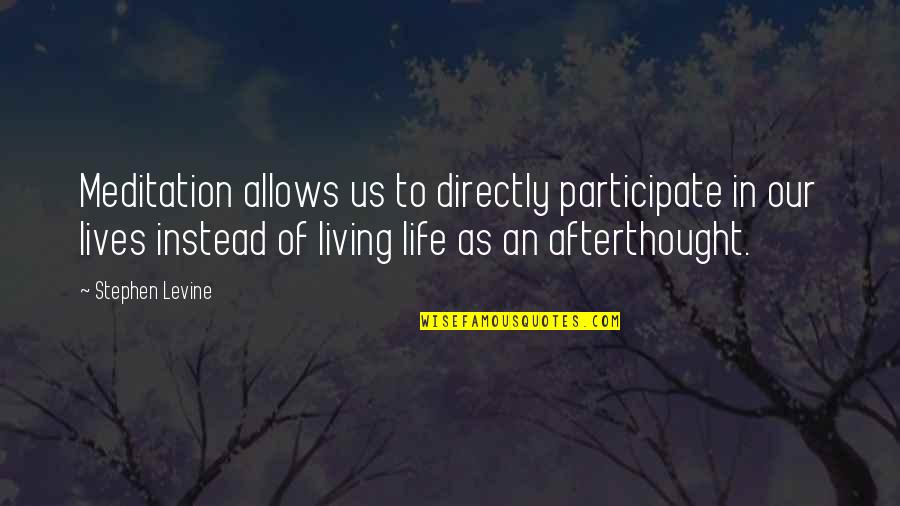 Serious Relationship Quotes By Stephen Levine: Meditation allows us to directly participate in our