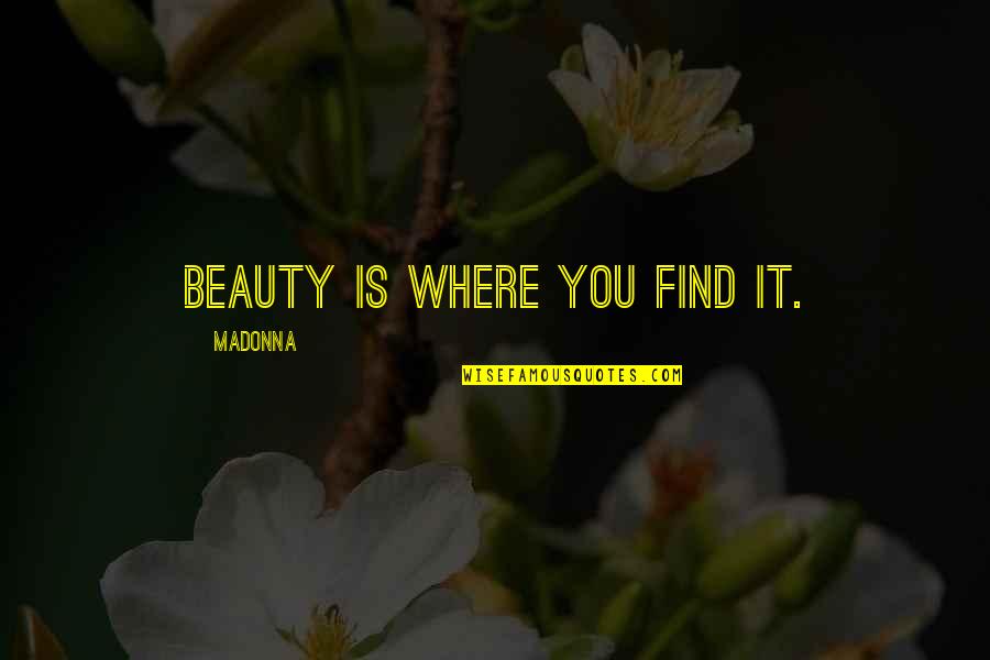Seriousness In Work Quotes By Madonna: Beauty is where you find it.