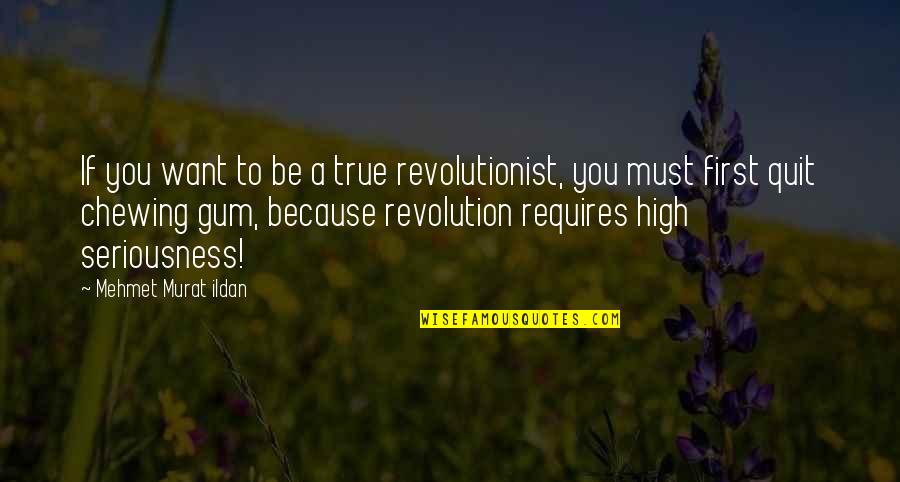 Seriousness Quotes By Mehmet Murat Ildan: If you want to be a true revolutionist,
