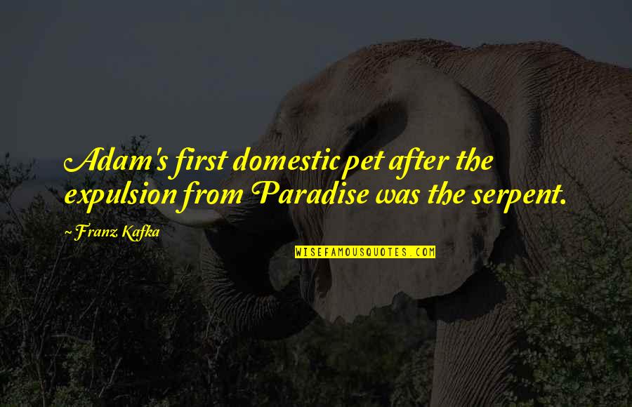 Serpent Quotes By Franz Kafka: Adam's first domestic pet after the expulsion from
