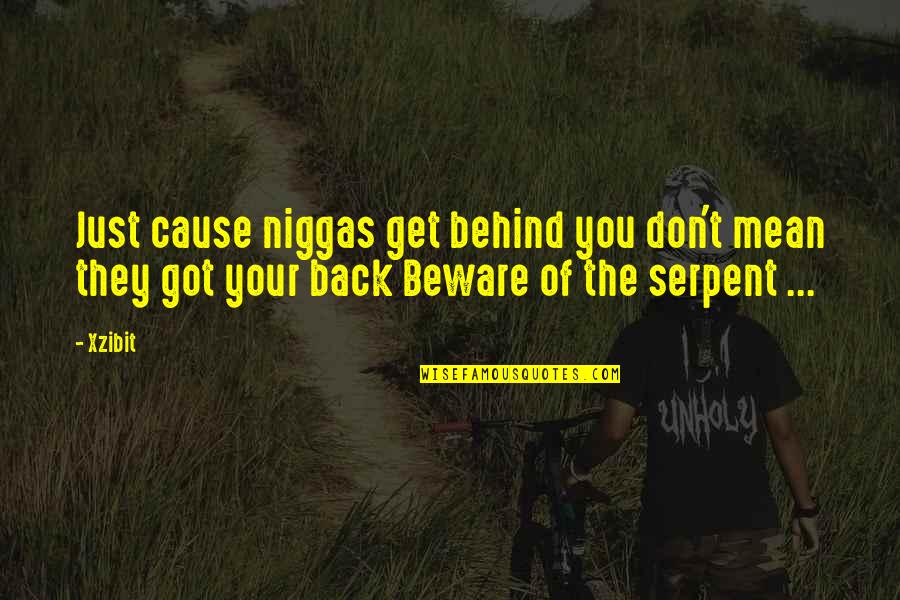 Serpent Quotes By Xzibit: Just cause niggas get behind you don't mean