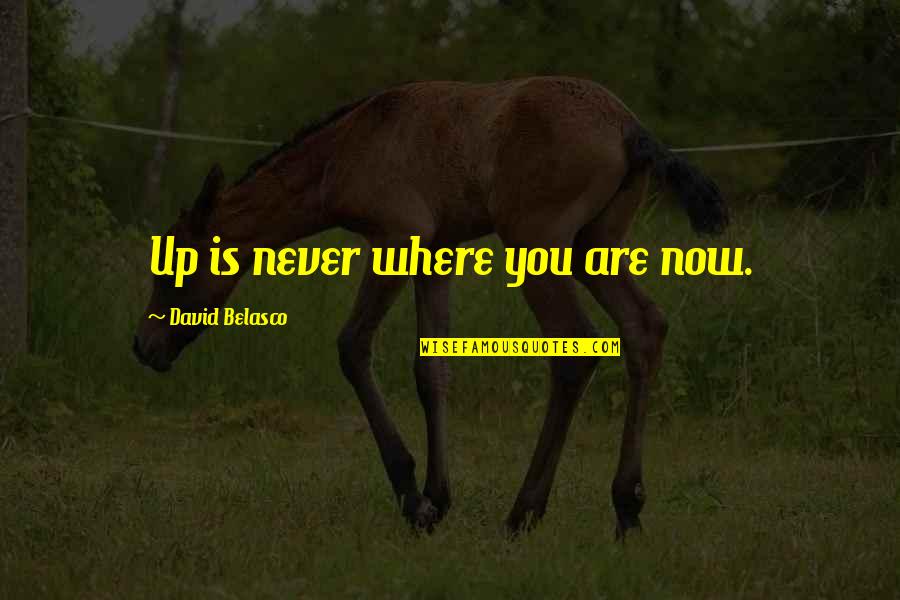 Serpents In The Bible Quotes By David Belasco: Up is never where you are now.