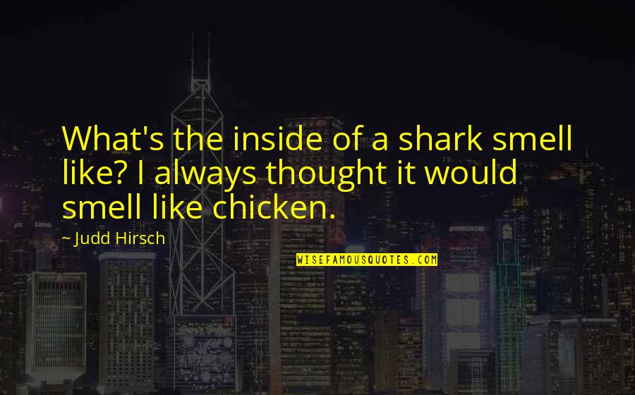 Serpiente Coral Quotes By Judd Hirsch: What's the inside of a shark smell like? Serpiente Coral Quotes By Judd Hirsch: What's the inside of a shark smell like?