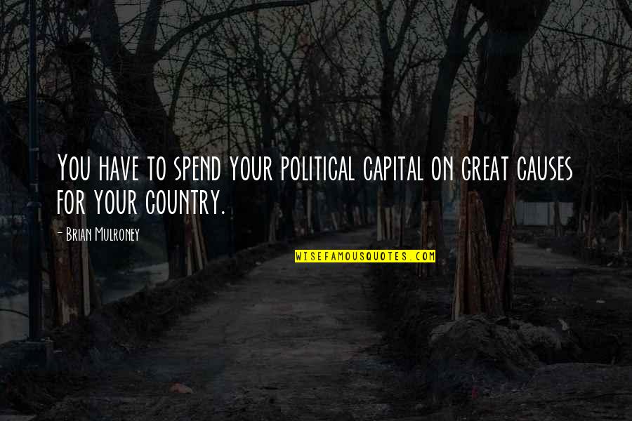 Serrapeptase Quotes By Brian Mulroney: You have to spend your political capital on