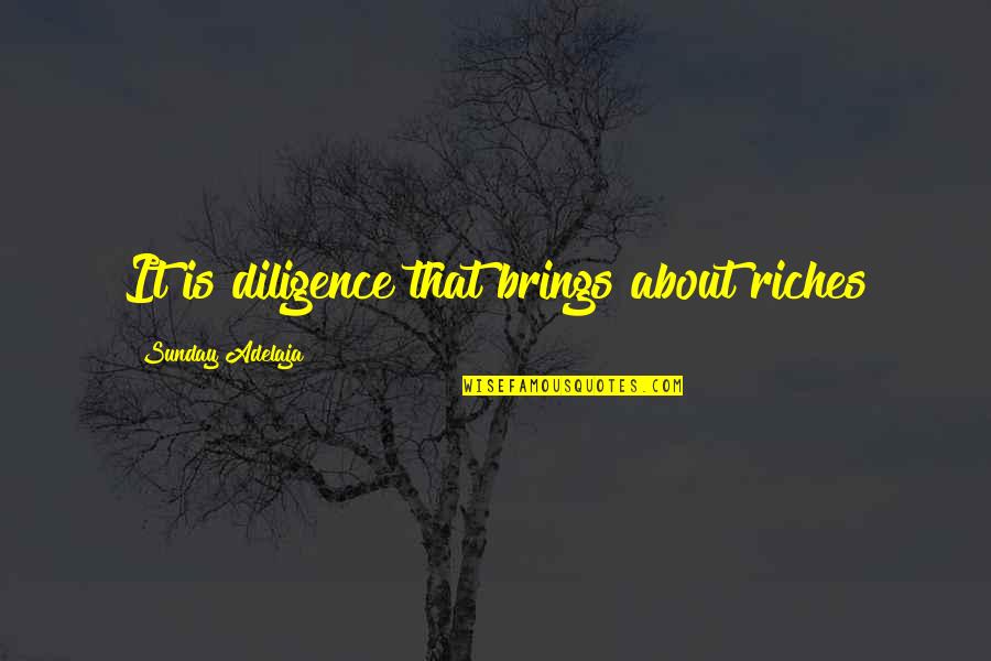 Sershen And Zaritskaya Quotes By Sunday Adelaja: It is diligence that brings about riches Sershen And Zaritskaya Quotes By Sunday Adelaja: It is diligence that brings about riches