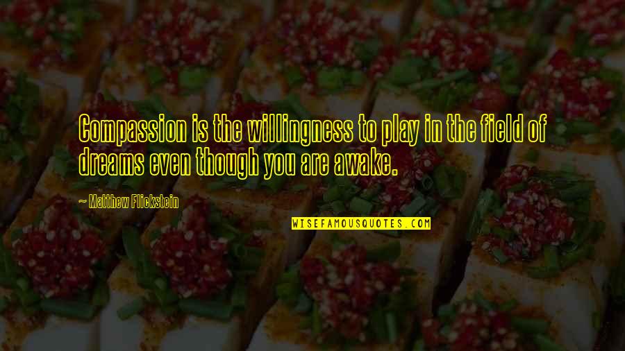 Sertlik L M Quotes By Matthew Flickstein: Compassion is the willingness to play in the Sertlik L M Quotes By Matthew Flickstein: Compassion is the willingness to play in the