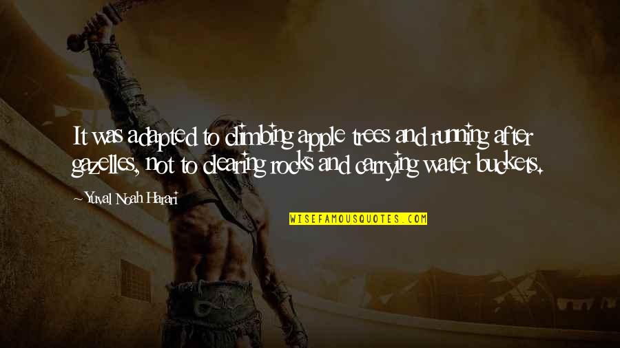 Serufuli Quotes By Yuval Noah Harari: It was adapted to climbing apple trees and
