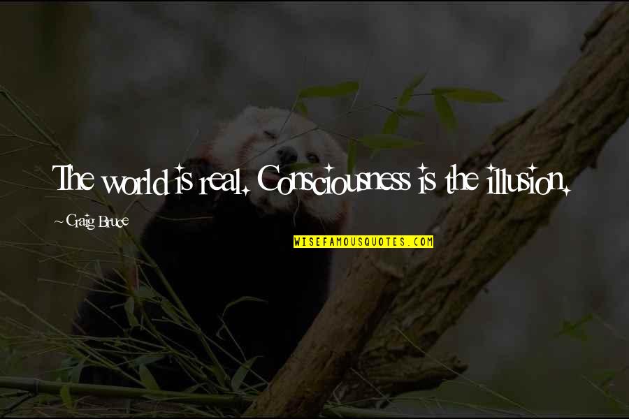 Servant Leadership Work Quotes By Craig Bruce: The world is real. Consciousness is the illusion.