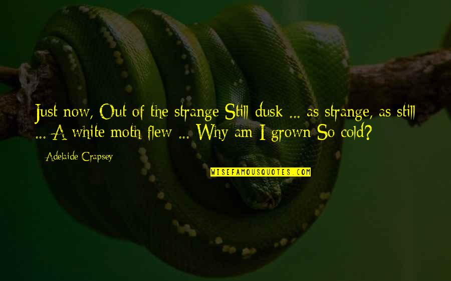 Servanthood Quotes By Adelaide Crapsey: Just now, Out of the strange Still dusk