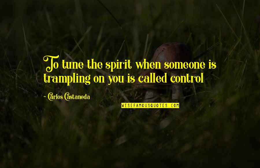 Serveminnesota Quotes By Carlos Castaneda: To tune the spirit when someone is trampling Serveminnesota Quotes By Carlos Castaneda: To tune the spirit when someone is trampling