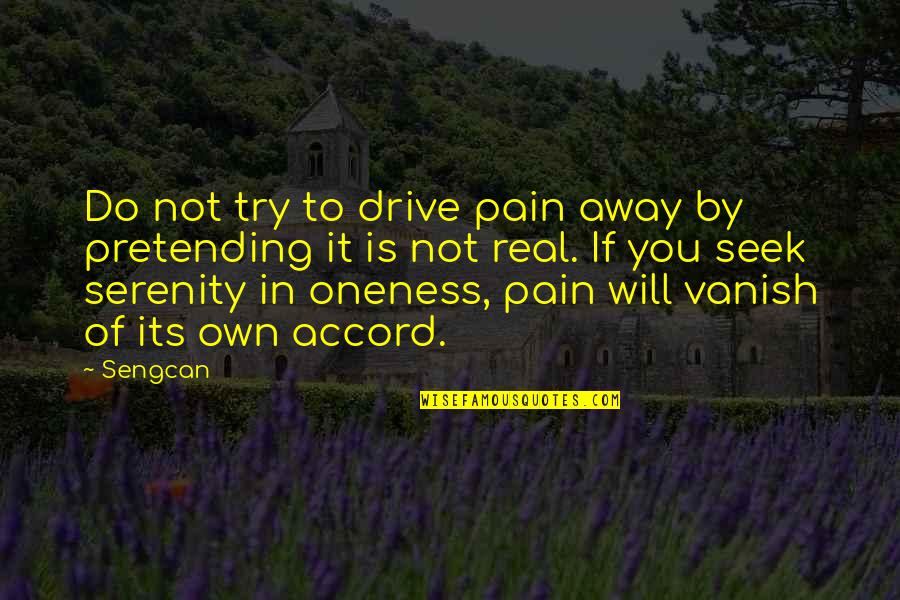 Service Hours Quotes By Sengcan: Do not try to drive pain away by