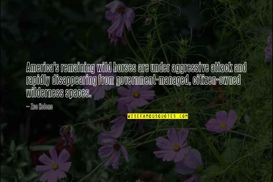 Servidio Landscaping Quotes By Zoe Helene: America's remaining wild horses are under aggressive attack Servidio Landscaping Quotes By Zoe Helene: America's remaining wild horses are under aggressive attack
