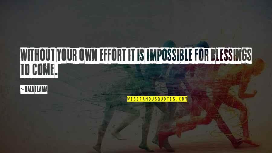 Serviertenfalttechnik Quotes By Dalai Lama: Without your own effort it is impossible for