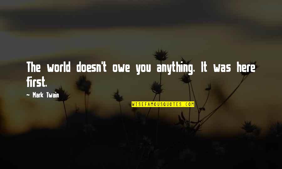 Serving Others Christian Quotes By Mark Twain: The world doesn't owe you anything. It was