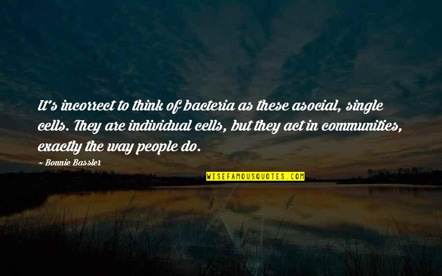 Servingschools Quotes By Bonnie Bassler: It's incorrect to think of bacteria as these Servingschools Quotes By Bonnie Bassler: It's incorrect to think of bacteria as these